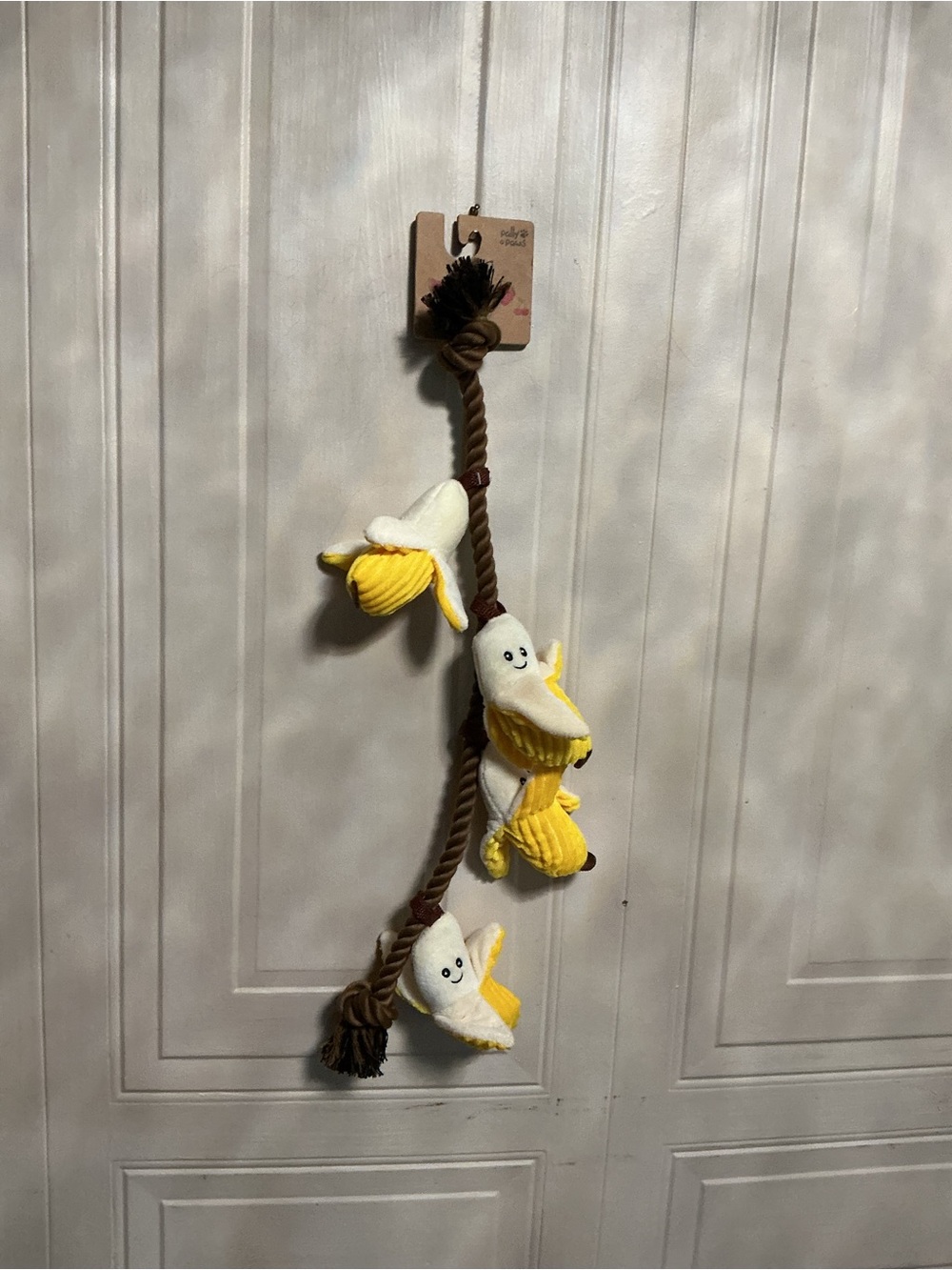 Pally Paws Interactive Rope Toy with Squeakers Fruit Theme Rope Toy for Tug 20”
